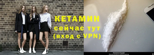 амф Бородино
