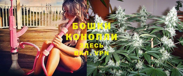амф Бородино